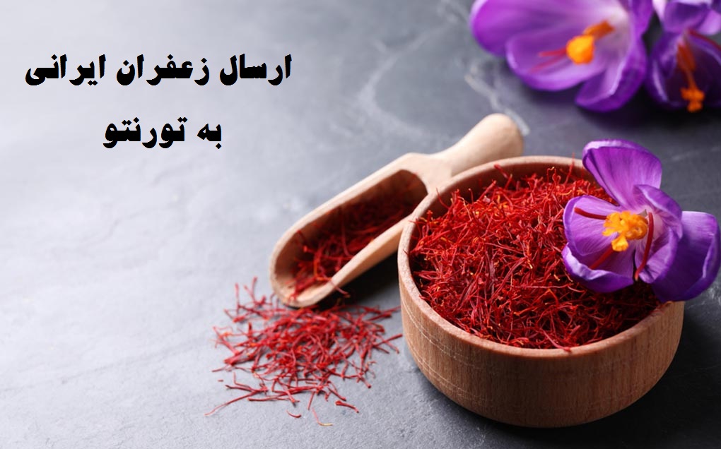زعفران به تورنتو